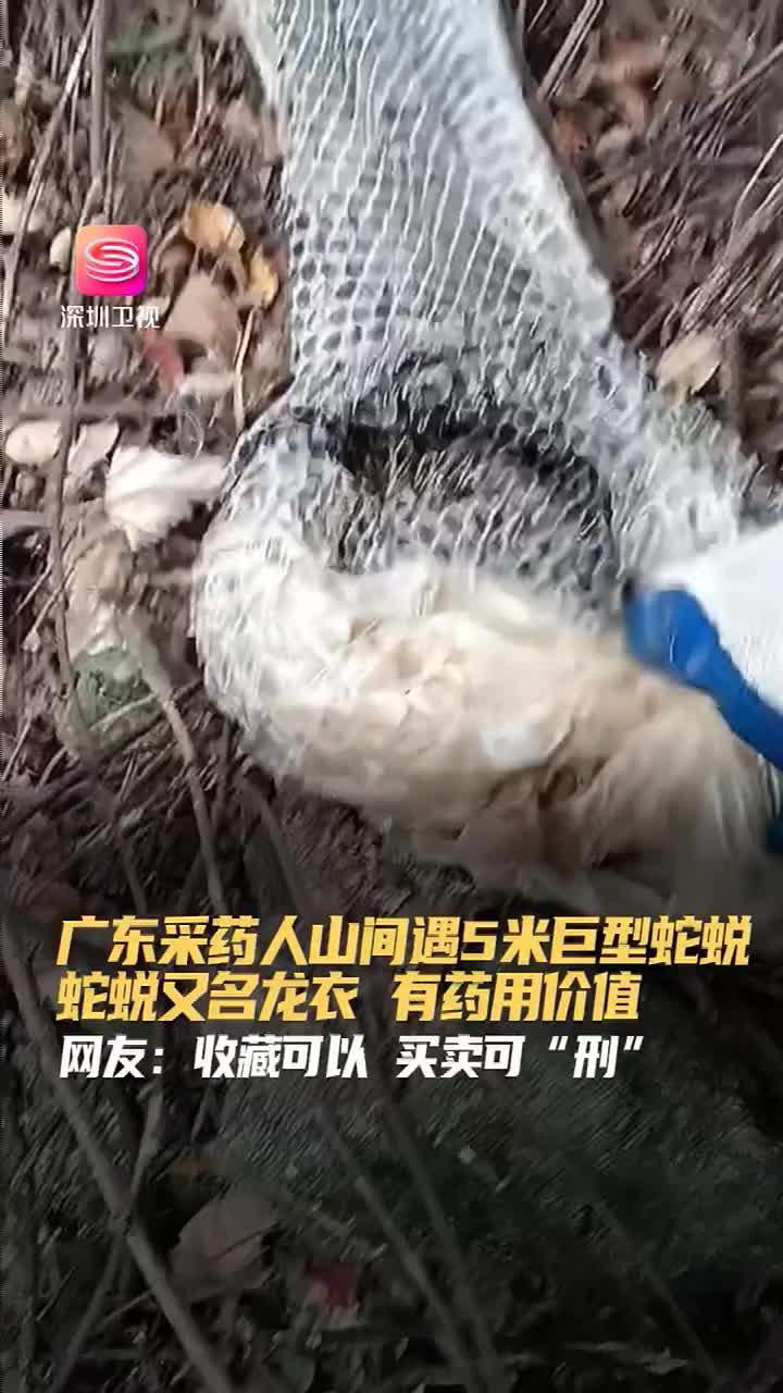 根植浙大科研，引領(lǐng)室內(nèi)健康——浙江冰蟲環(huán)?？萍及l(fā)展紀(jì)實(shí)